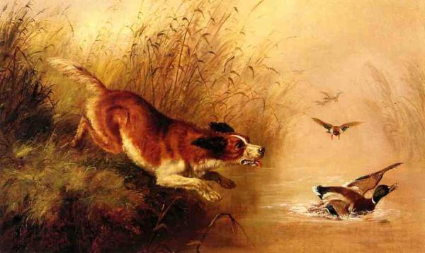 Spaniel Chasing Ducks by Arthur Fitzwilliam Tait