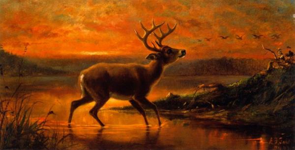 Ten Point Buck In Evening Twilight by Arthur Fitzwilliam Tait Oil Painting Reproductions