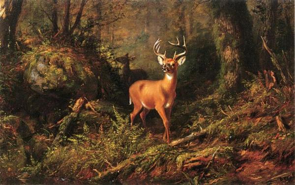 The Adirondacks by Arthur Fitzwilliam Tait Oil Painting Reproductions