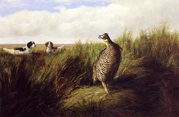 The Challenge by Arthur Fitzwilliam Tait Oil Painting Reproductions