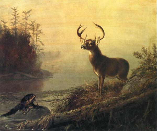 The Surprise by Arthur Fitzwilliam Tait