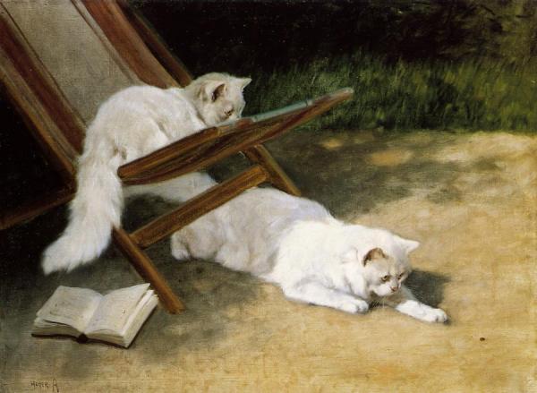 Persian Cats by Arthur Heyer Oil Painting Reproductions