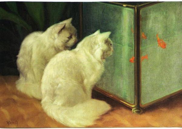 White Cats Watching Goldfish by Arthur Heyer Oil Painting Reproductions