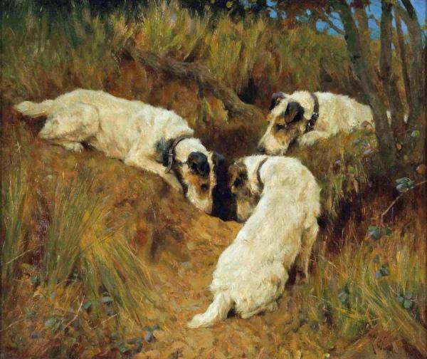 Arthur Wardle Rabbiting