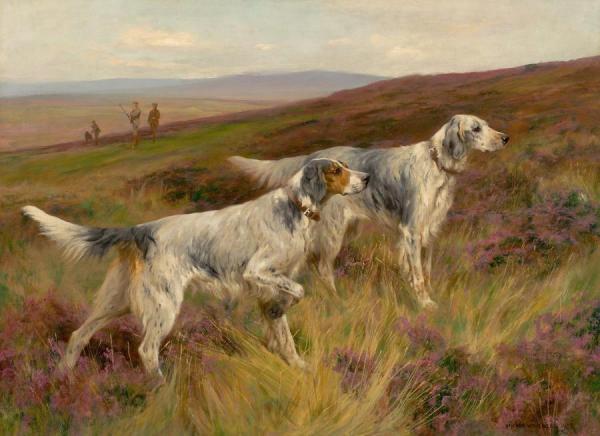 Arthur Wardle Two English Setters On A Grouse Moor(1903)