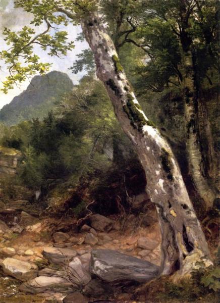 A Sycamore Tree, Plaaterkill Clove by Asher Brown Durand