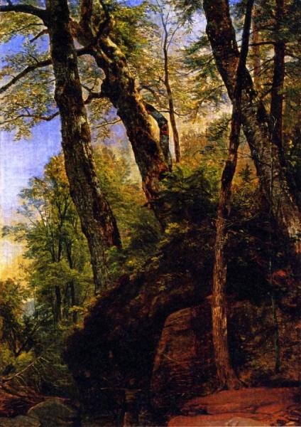 Black Birches, Catskill Mountains by Asher Brown Durand
