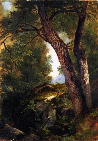 Butternut Tree At Hague, Lake George, New York by Asher Brown Durand