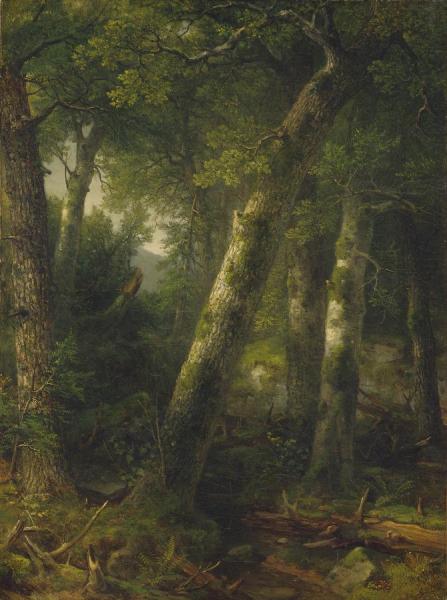 Forest In The Morning Light, C. 1855 by Asher Brown Durand