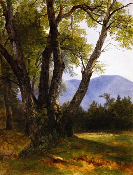 Shandaken, Ulster County, New York by Asher Brown Durand