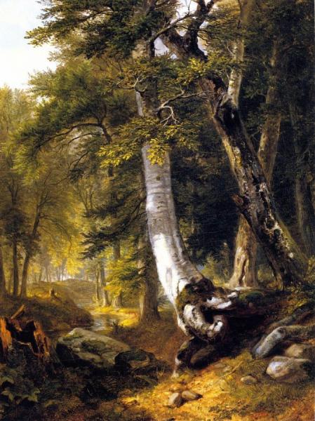 Sketch In The Woods by Asher Brown Durand
