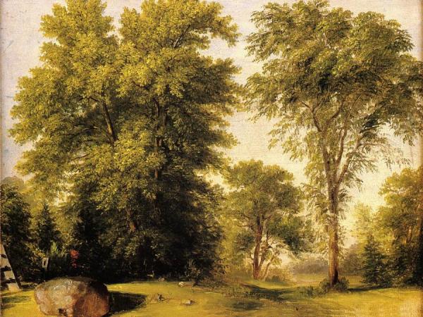 Study From Nature, Hoboken, N.j. by Asher Brown Durand