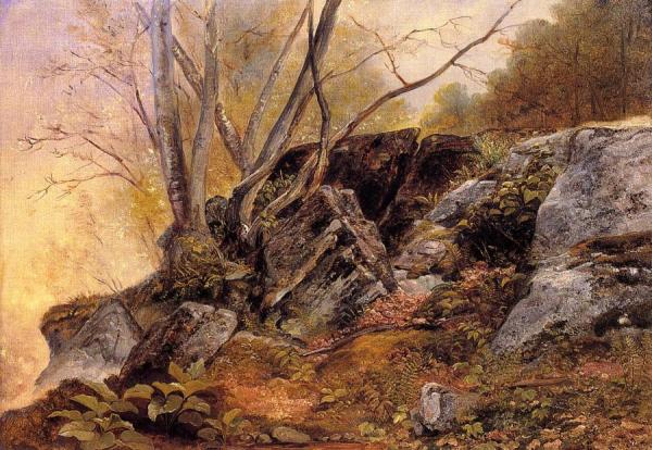 Study From Nature, Rocks And Trees by Asher Brown Durand