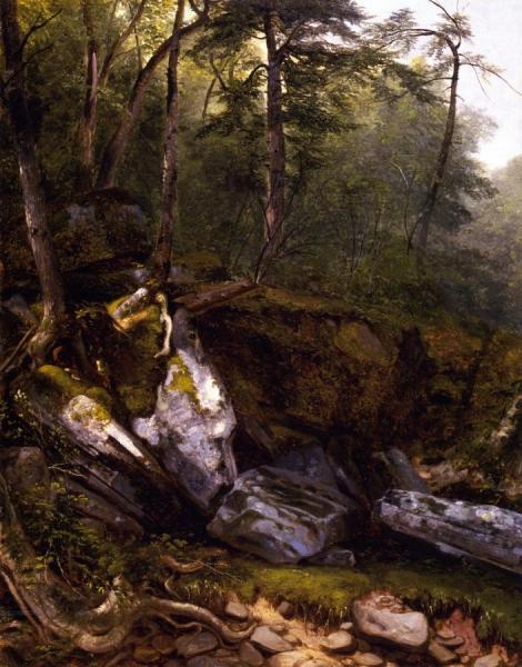 Study From Nature: Rocks And Trees In The Catskills, New York by Asher Brown Durand