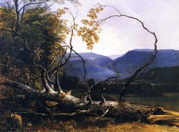 Study From Nature, Stratton Notch, Vermont by Asher Brown Durand