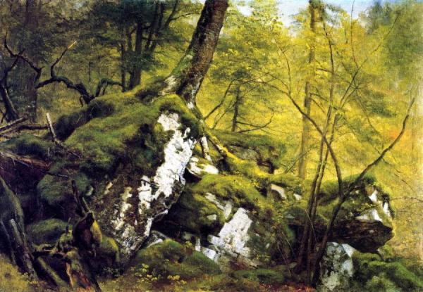 Study Of A Wood Interior by Asher Brown Durand