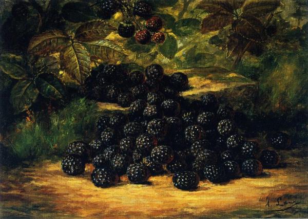 August Laux Blackberries