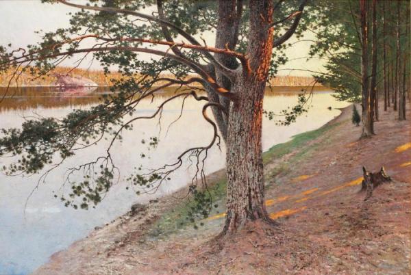August Wilhelm Nikolaus Hagborg Evening Sun On A Pine Tree