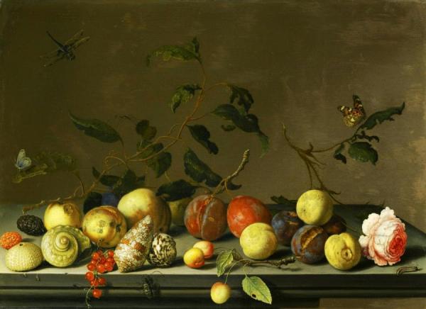 A Still Life Of Fruit And Shells With A Rose And Various Insects Upon A Stone Ledge by Balthasar Van Der Ast
