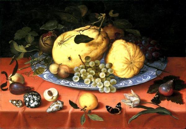 Fruit Still Life With Shells And A Tulip by Balthasar Van Der Ast