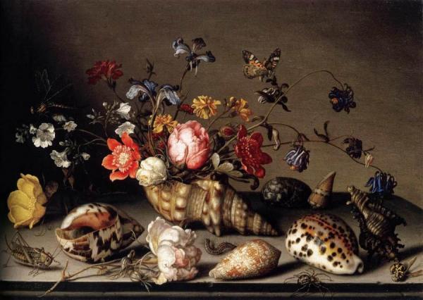 Still-life Of Flowers, Shells, And Insects by Balthasar Van Der Ast