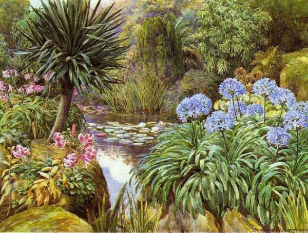 Lilypond by Beatrice E. Parsons