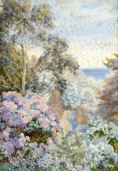 Rhododendrons And Eucalyptus by Beatrice E. Parsons