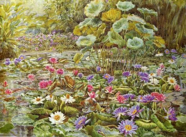 Water Garden by Beatrice E. Parsons