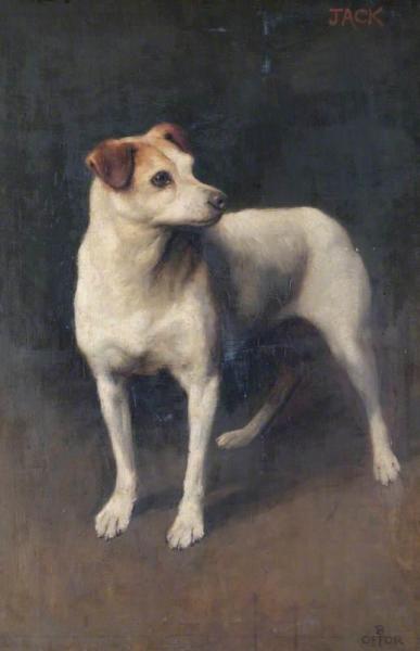 Jack by Beatrice Offor