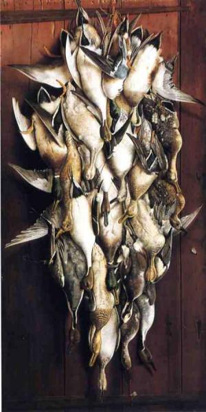 Ben Austrian After A South Wind