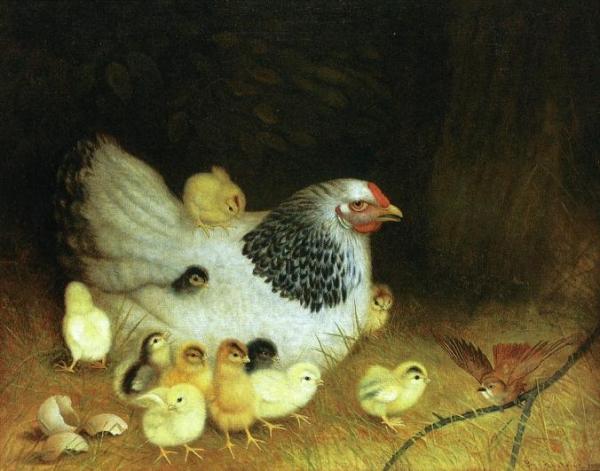 Ben Austrian The Outsider