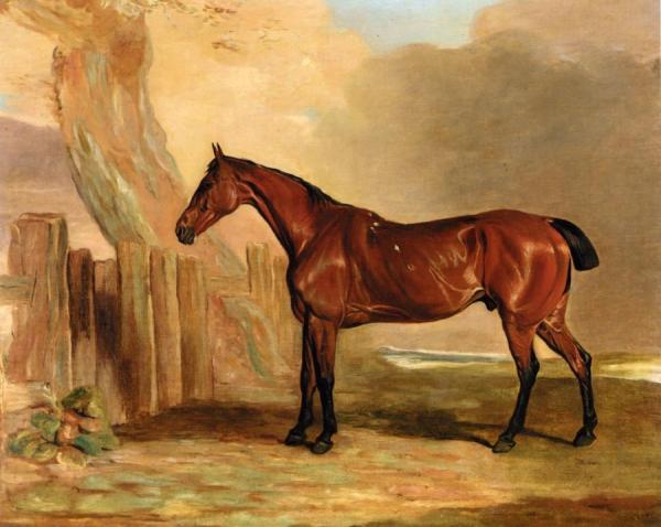 Old Favourite, A Bay Hunter In A Landscape by Ben Marshall