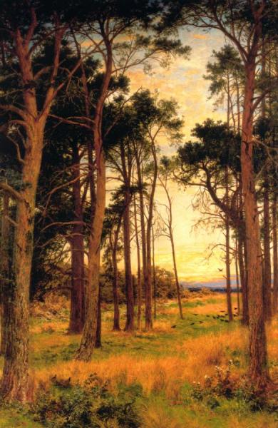 Skirt Of A Pine Wood by Benjamin Williams Leader Oil Painting Reproductions