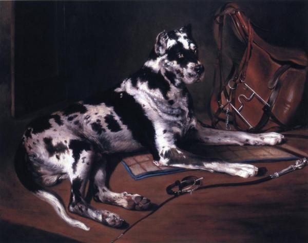 Recumbant Great Dane by Bernard De Gempt