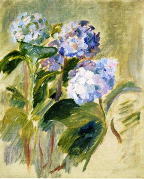 Branch Of A Hydrangea by Berthe Morisot