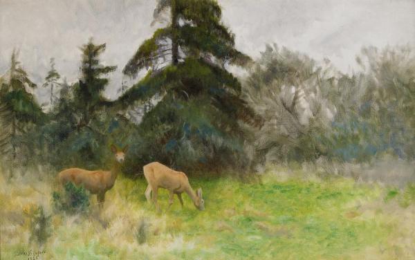 Bruno Liljefors Deer In The Summer Woods