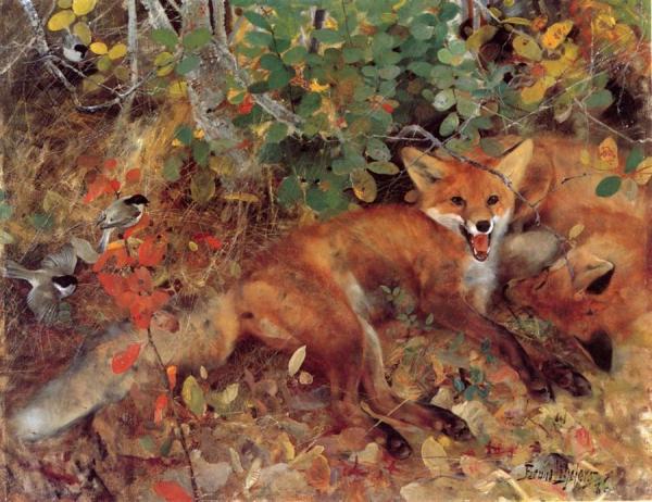 Bruno Liljefors Foxes