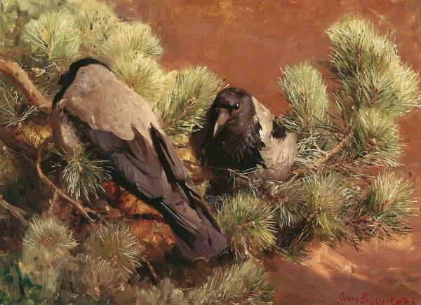 Hooded Crows by Bruno Liljefors Oil Painting Reproductions