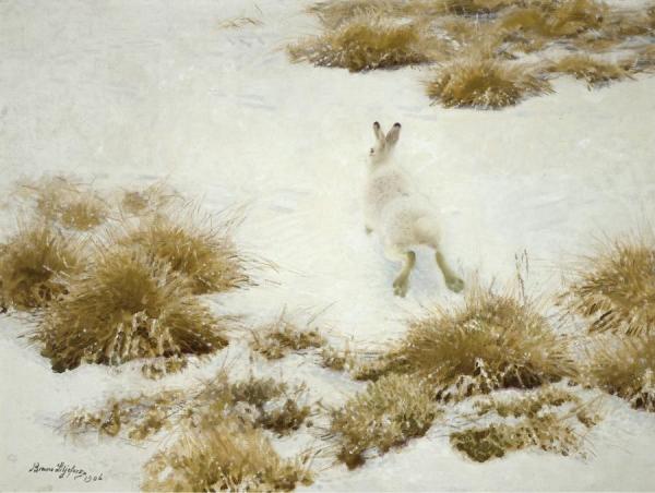 The Snow Hare by Bruno Liljefors Oil Painting Reproductions