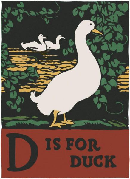 Charles Buckles Falls Alphabet   D Is For Duck