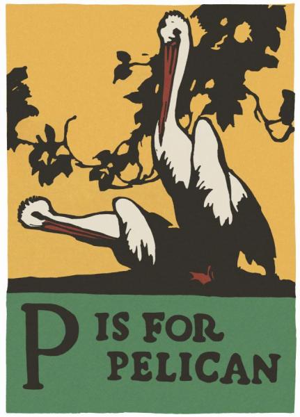 Charles Buckles Falls Alphabet   P Is For Pelican