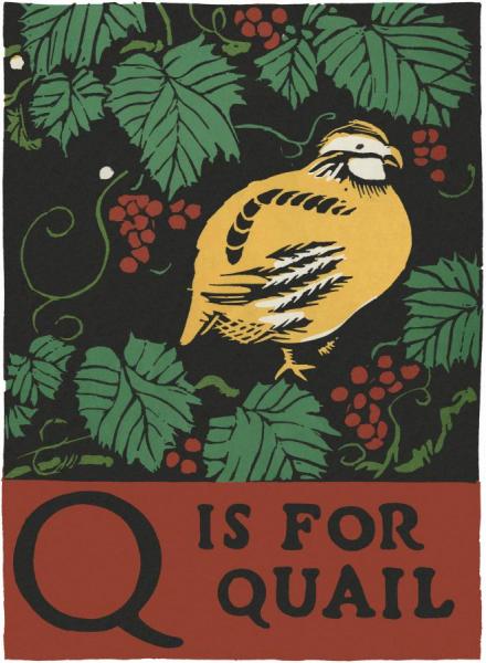 Alphabet   Q Is For Quail by Charles Buckles Falls