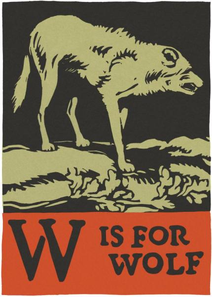 Alphabet   W Is For Wolf by Charles Buckles Falls