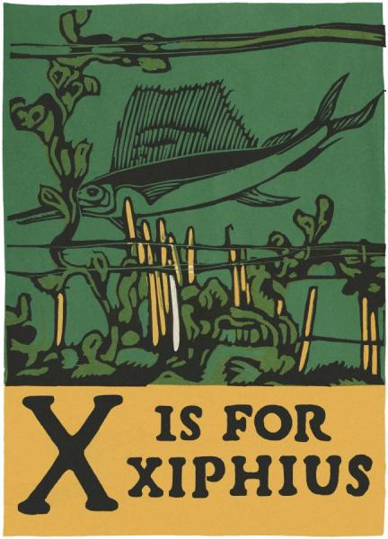 Alphabet   X Is For Xiphius by Charles Buckles Falls