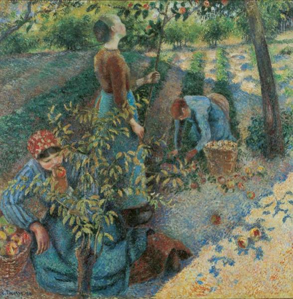 Apple Picking by Camille Pissarro Oil Painting Reproductions