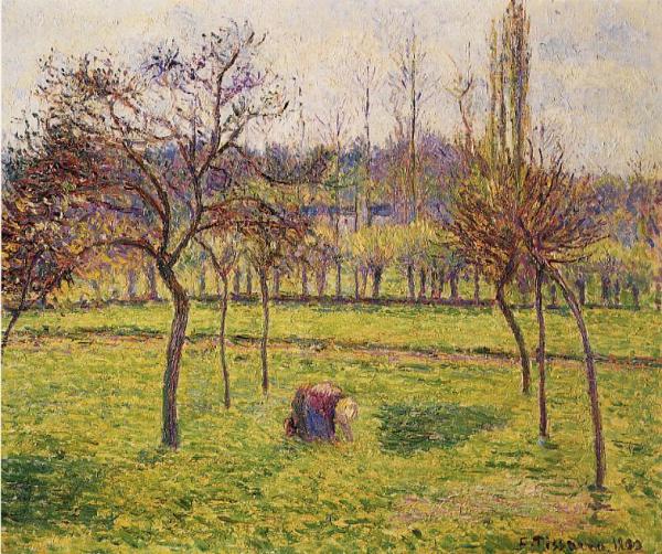 Apple Trees In A Field by Camille Pissarro