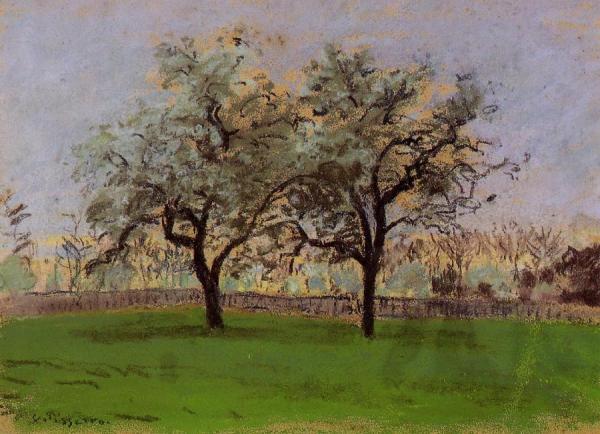 Apples Trees At Pontoise by Camille Pissarro