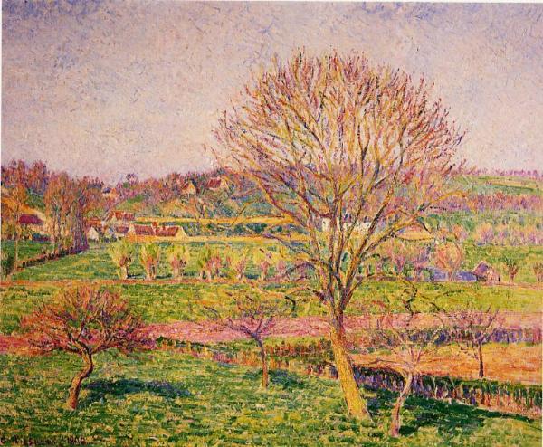 Big Walnut Tree At Eragny by Camille Pissarro