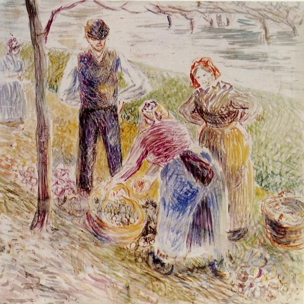 Harvesting Potatos by Camille Pissarro