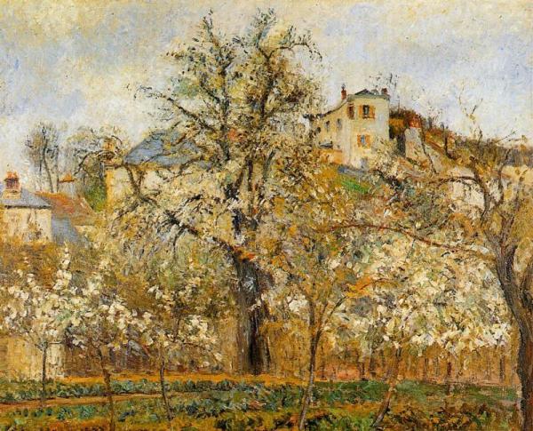 Kitchen Garden Witih Trees In Flower, Spring, Pontoise by Camille Pissarro Oil Painting Reproductions